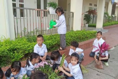 MẦM XANH HY VỌNG: RỘN RÀNG TẾT TRỒNG CÂY TẠI TIỂU HỌC NINH MỸ